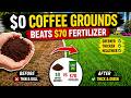 The Coffee Ground Lawn Hack That Saved Me $70 and Grew Thicker Grass Fast