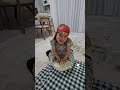 ÇOK HAMARATIZ 😊😄