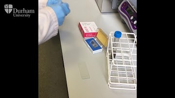 Durham University Bioarch Bites: Pollen analysis