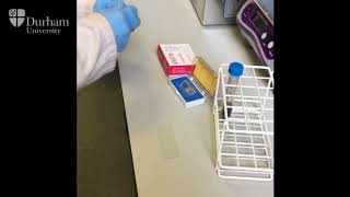 Durham University Bioarch Bites: Pollen analysis