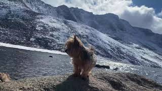 JAW-DROPPING Summit Lake, Colorado after early season snowfall! Asinine dense fog with fall colors!