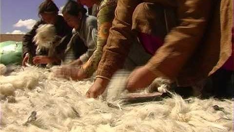 #4 What if we change - Women of the Gobi by John D. Liu