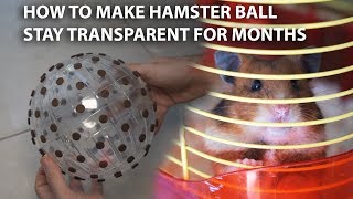 How to make hamster ball last forever under $4 DIY