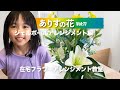 『ありすの花vol,077』ジェルボールアレンジメント編