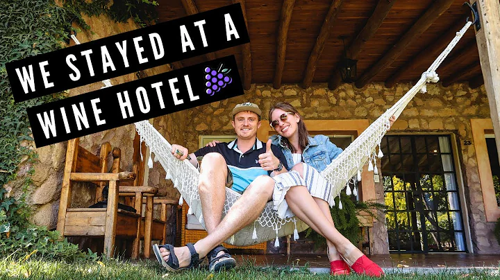 Staying at WINE HOTEL in MENDOZA, Argentina  | Win...