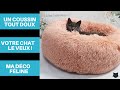 😻 Lit pour Chat en peluche