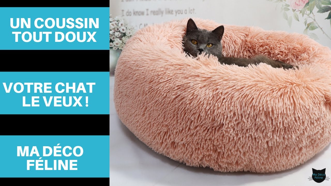 😻 Lit pour Chat en peluche 