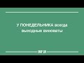 утро ПОНЕДЕЛЬНИКА | Смешные высказывания - ЮМОР ДНЯ