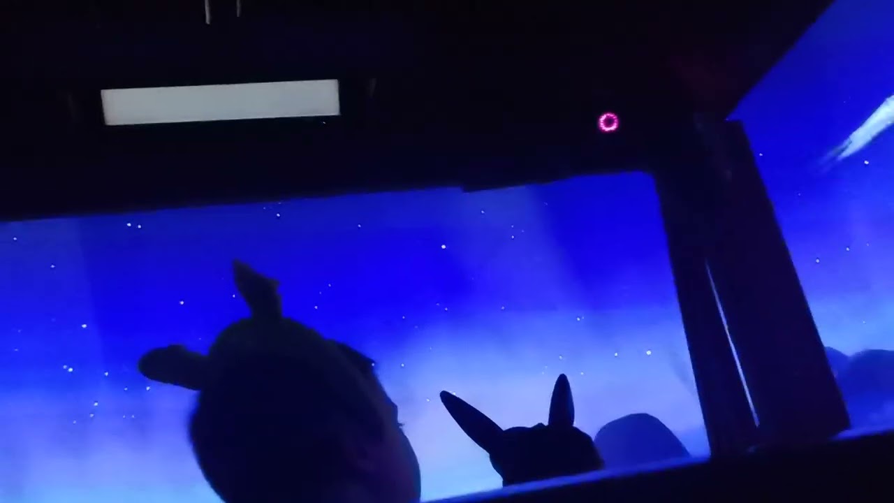 shrek adventure 3d ride