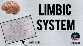 The Limbic System || Amygdala | Hippocampus | Papez and amygdala circuit