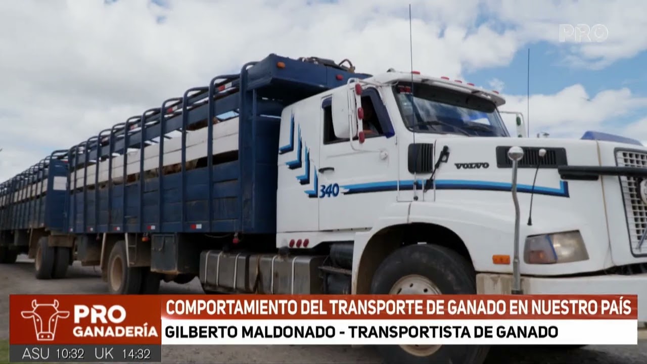Comportamiento del transporte de ganado en nuestro país (2da Parte)