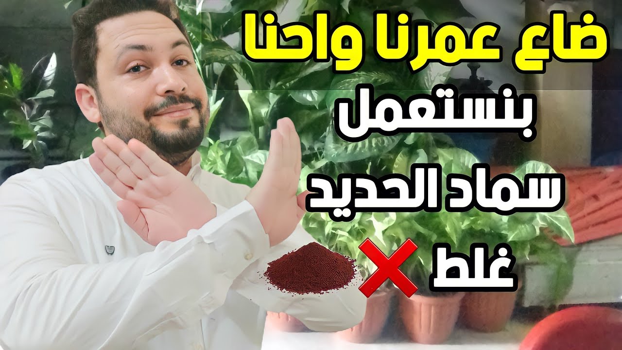 الطريقة الصحيحة لاستخدام سماد الحديد للنبات للحصول على نتائج مذهلة شيلات الحديد