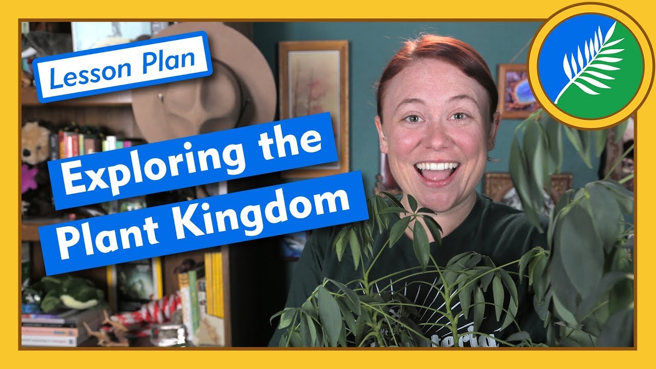 ⁣Exploring the Plant Kingdom - Lesson Plan
