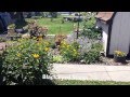Perennial Flower Garden Perennial Flower Garden