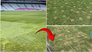 WAH GAWAT‼️PENAMPAKAN RUMPUT STADION GBK SETELAH DIAPAKAI KONSER, JELANG DIPAKAI TIMNAS HADAPI IRAK