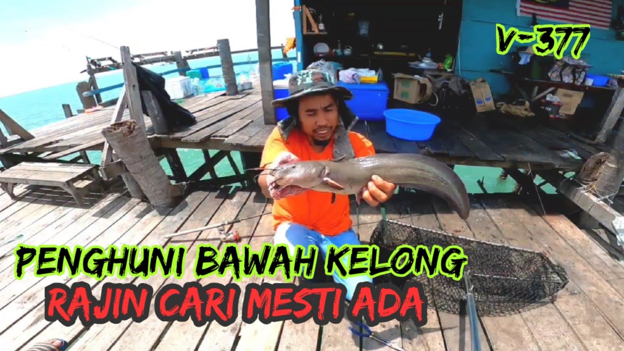 KELONG KUPANG SABAK BERNAM 2022 | Ada Pelbagai Spesis Ikan