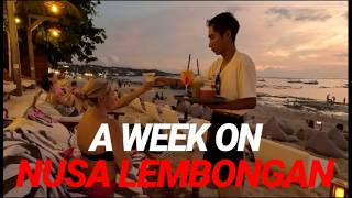 Download lagu A WEEK ON NUSA LEMBONGAN - A look at my hotel and Jungutbatu Beach. #nusalembongan  #balitravel