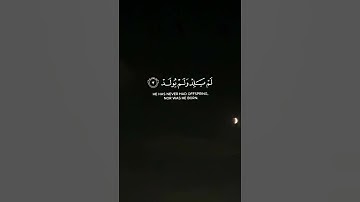 القرآن الكريم سورة الإخلاص