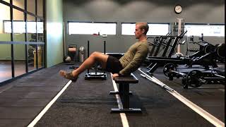 Seated Bent Knee Leg Raises w. Bench