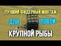 Рыбалка с фидером Как связать лучший монтаж под крупную рыбу