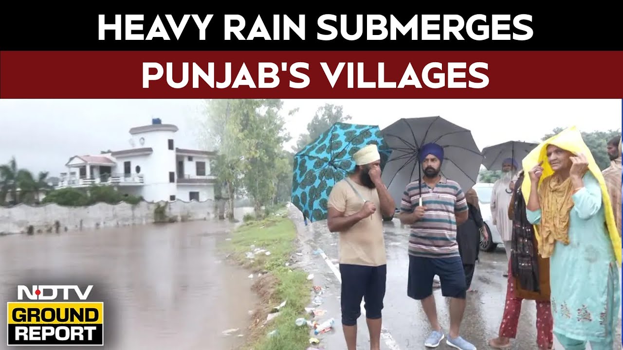 Punjab Flood News | Heavy Rain Batters Punjab Villages, Floodwaters Breach Ravi River Embankment