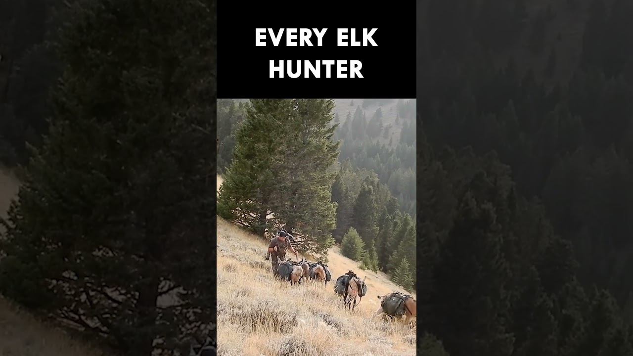 Ready to get hurt again 