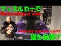 【ダッジ・チャレンジャー】ドライブしながら愛車トークのつもりが、まさかの出会いに大騒ぎ【保護猫】