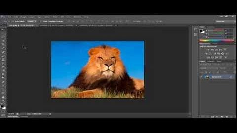 Rectangular marquee tool | Photoshop CS6 Tutorials Part 1