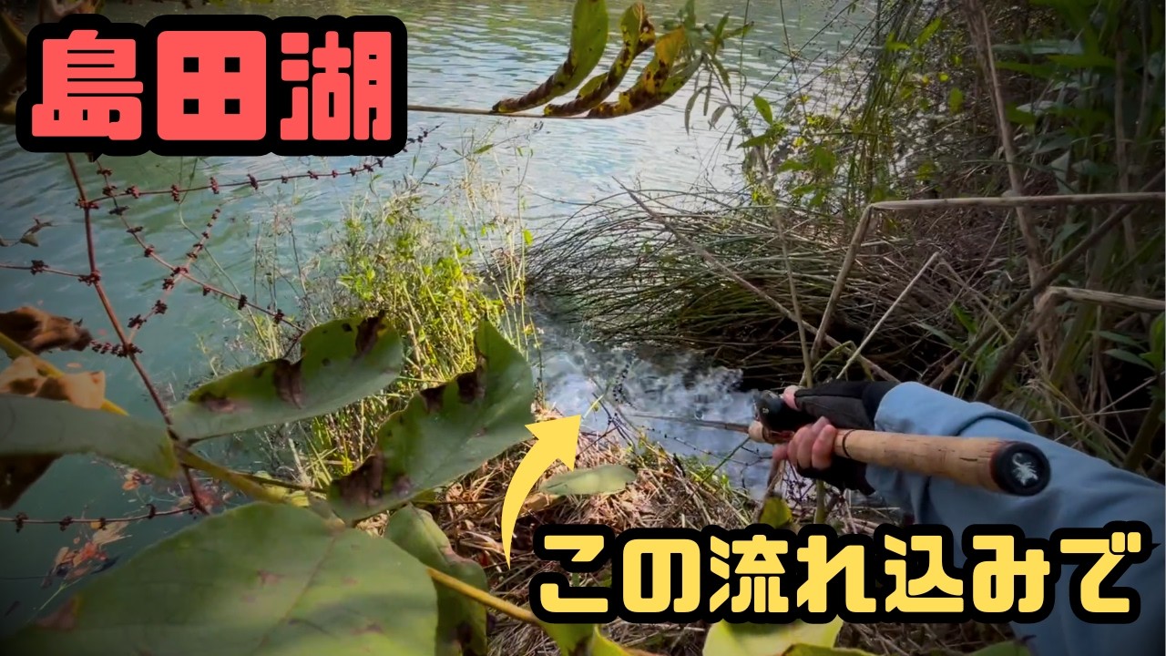 【2回目】島田湖初回で50UPを釣ったのはマグレだったのか検証してきた【#電車でバス釣り】