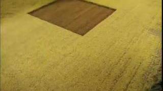 Valspar Paint TV Commercial Sea News