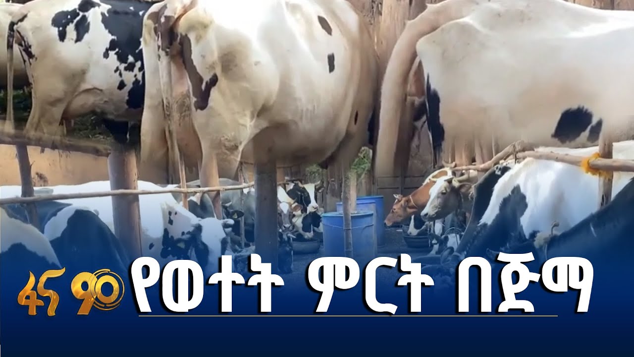 የወተት አምራች ማህበራት