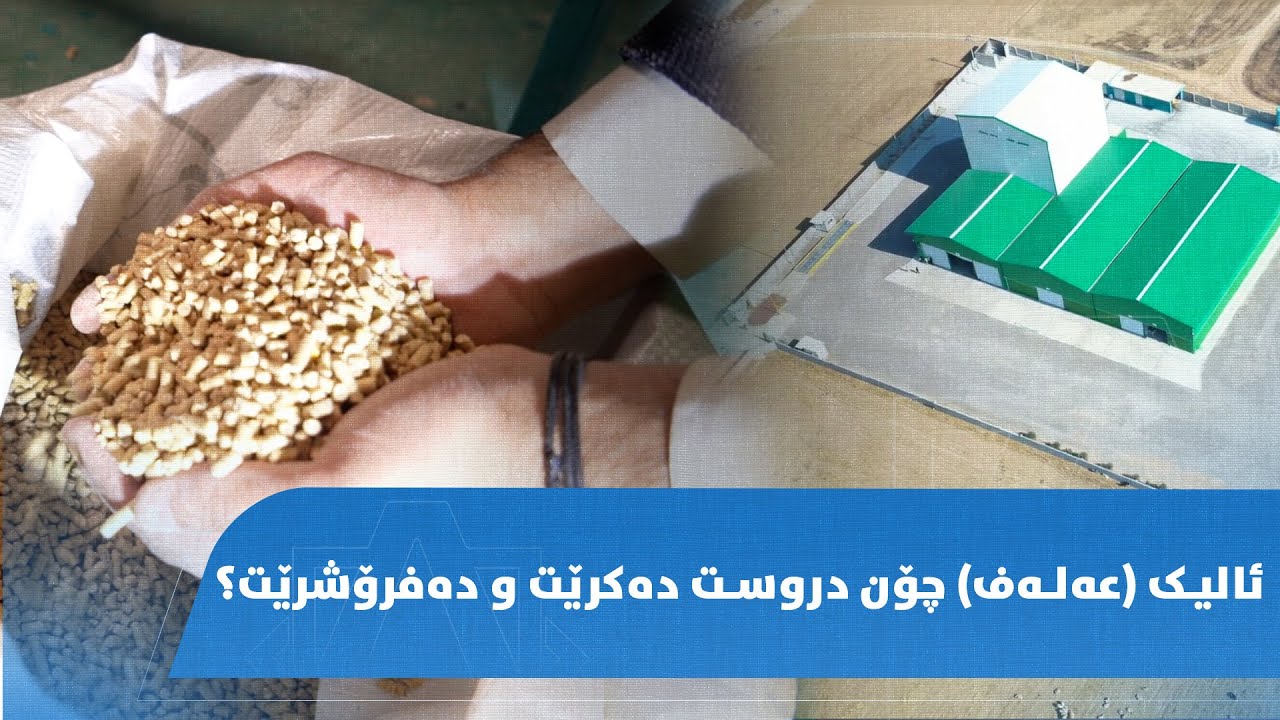 ئالیک عەلەف چۆن دروست دەکرێت و دەفرۆشرێت؟