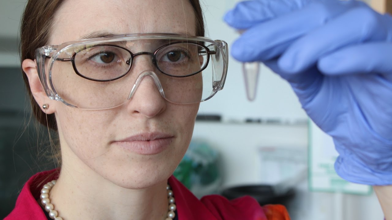 DNA Repair and Holliday Junctions: Meet the Scientist