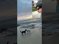 LA MAÑANERA DE PLAYA EP10 #noticias #champions #mascotas