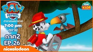 การ์ตูน Paw Patrol ขบวนการเจ้าตูบสี่ขา ลูกหมาช่วยไดโนเสาร์ล่ำบึก ภาค2  ตอนที่ 26 การตูนอเมริชั่นไทย screenshot 3