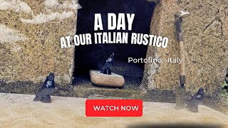A Day At Our Italian Rustico 