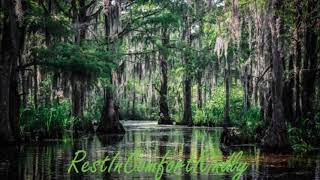 5 Minute Relaxed Swamp Sounds For Sleep or Meditation