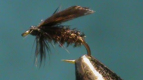 Fly Tying a Classic Wet Fly the Alder with Jim Misiura