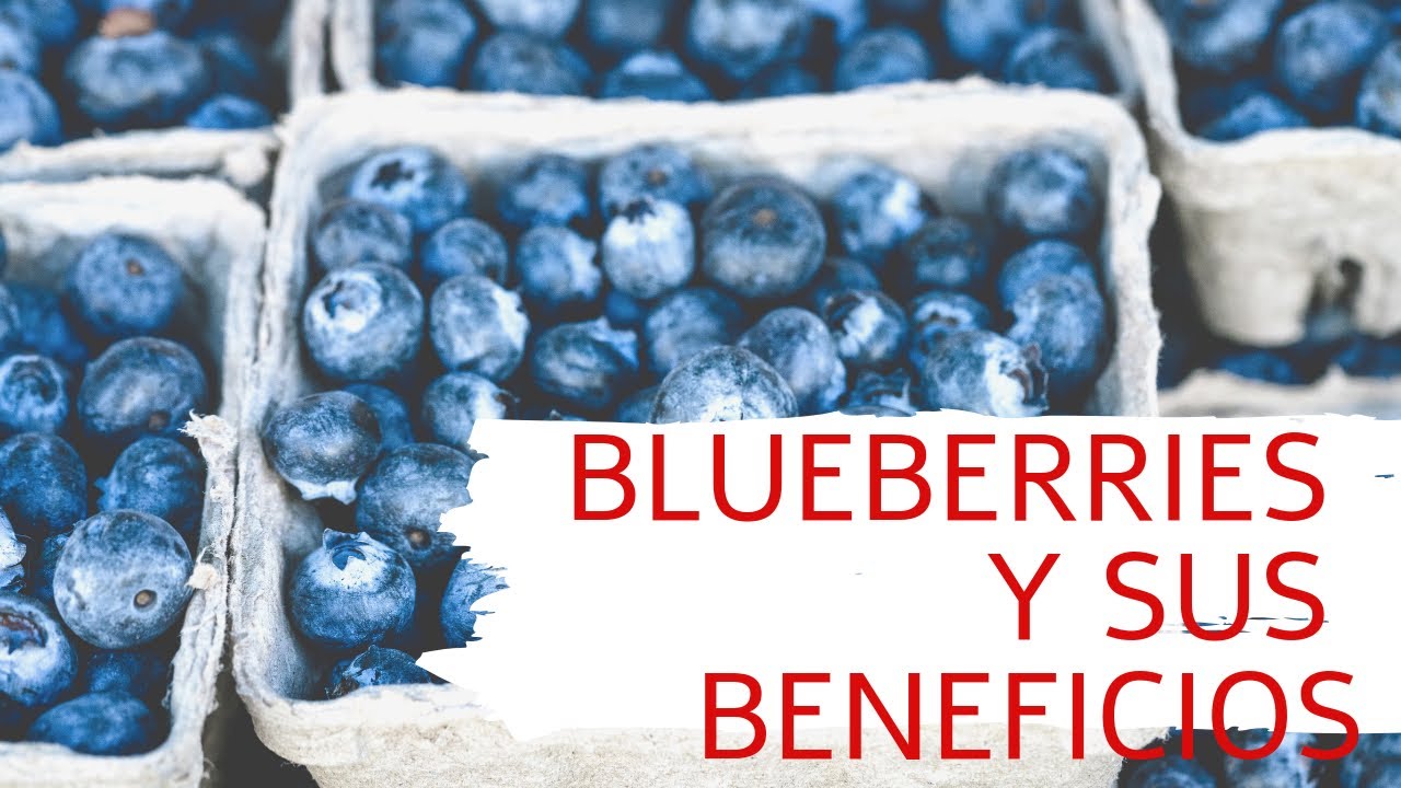 BLUEBERRIES Y SUS BENEFICIOS PARA LA SALUD ☀️ Arándanos / Cuidandonos