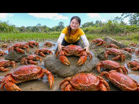 Harvesting Rare Giant Red Crabs To Sell | The Secret Behind Crispy Fried Crabs