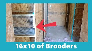 Brooder Room Build