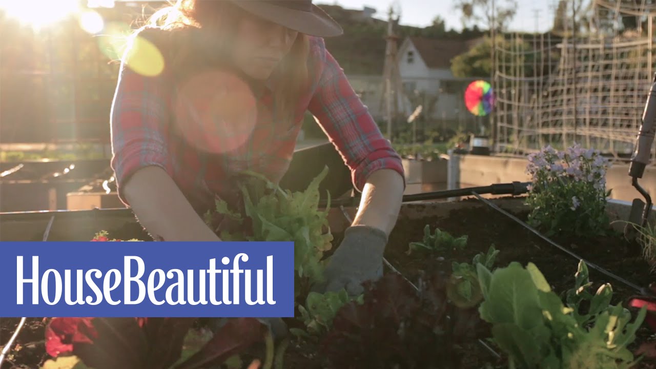 DIY Planter Box | House Beautiful