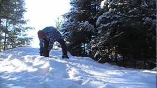 Backyard Snowboarding EDIT