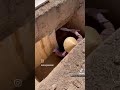 14 января 2024 г.