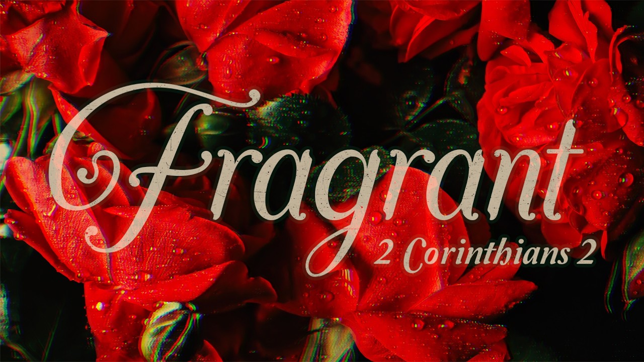 Fragrant | Aaron Matthews | May 31, 2026