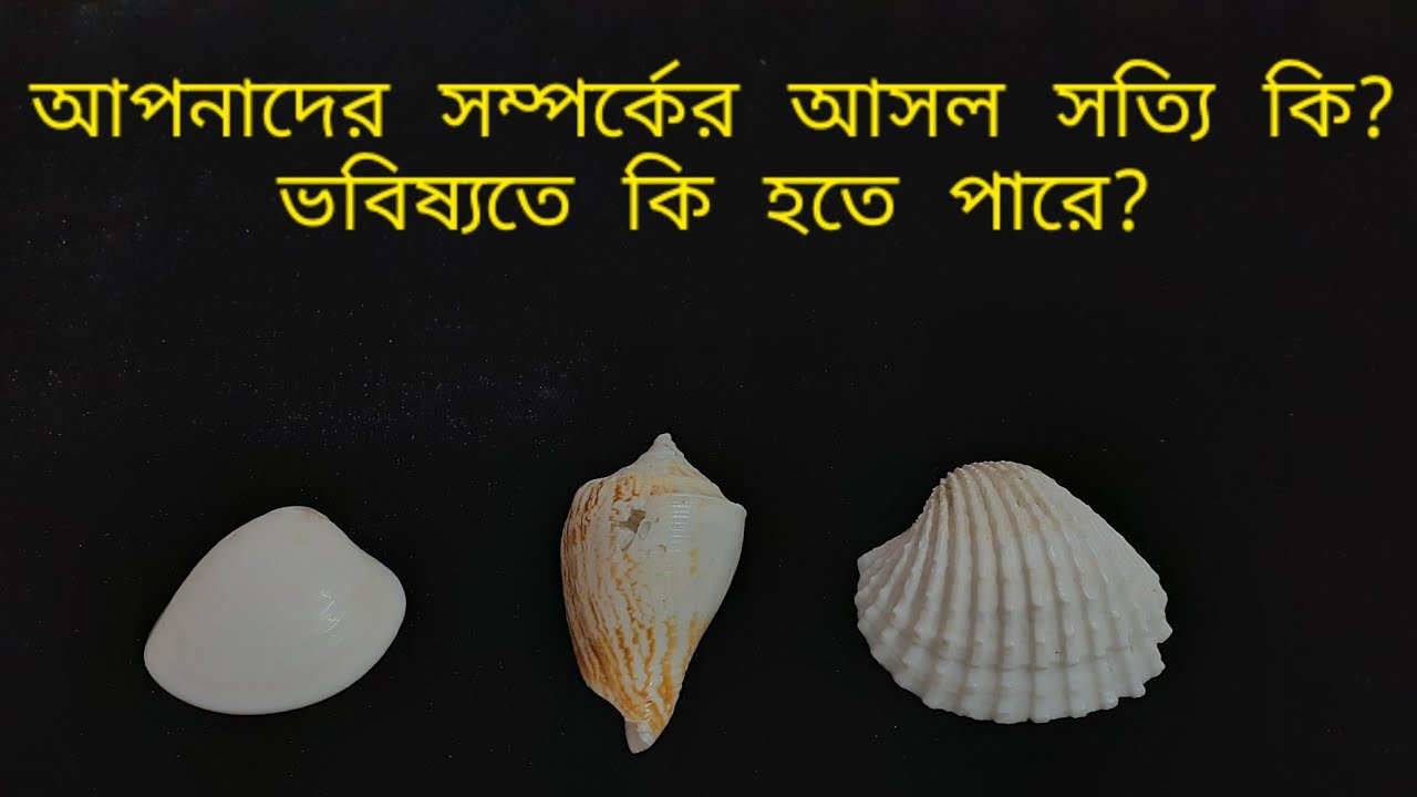 এই সম্পর্কে কি চলছে এই মুহুর্তে? ভবিষ্যতে কি হতে পারে? It's All about Your Current Relationship...