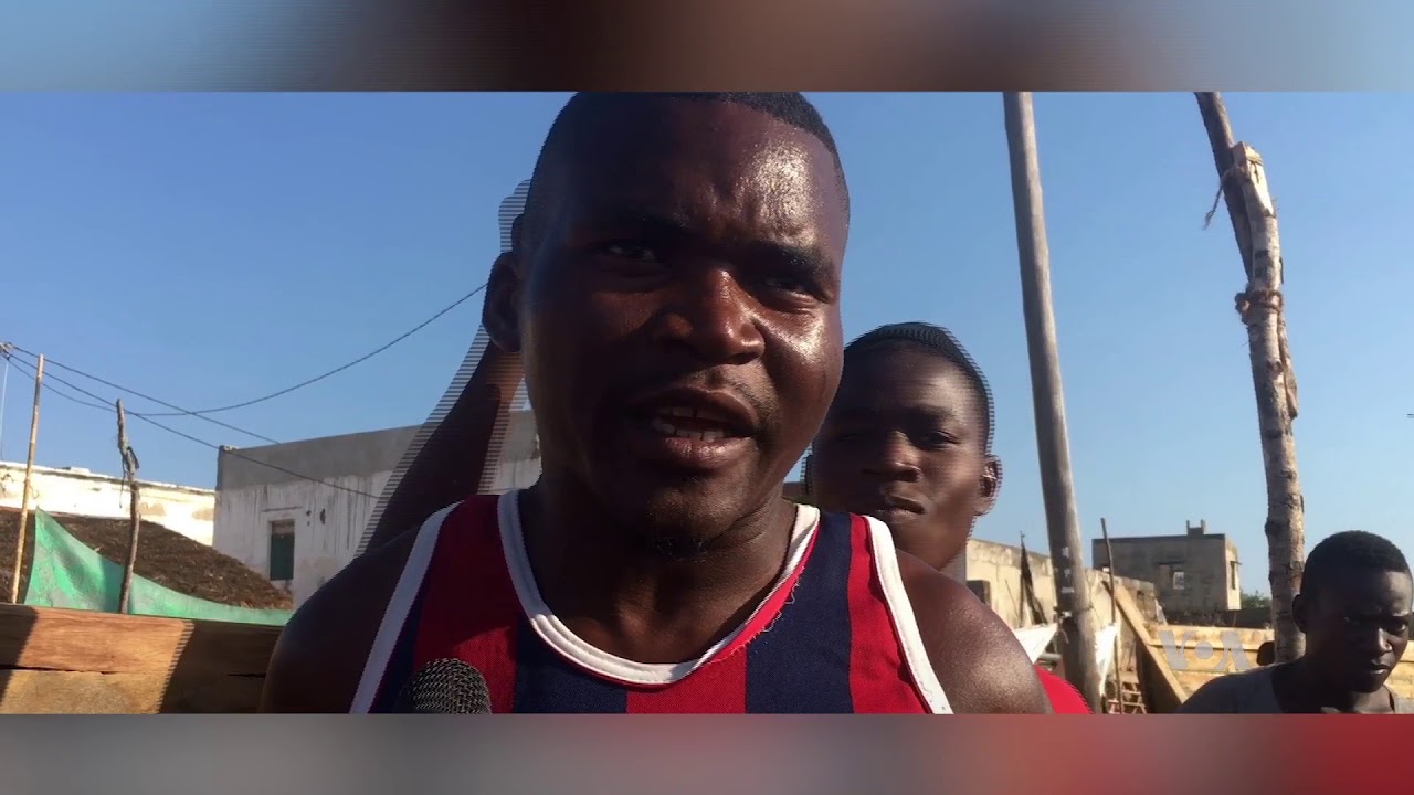 Poluição mata peixes da Ilha de Moçambique