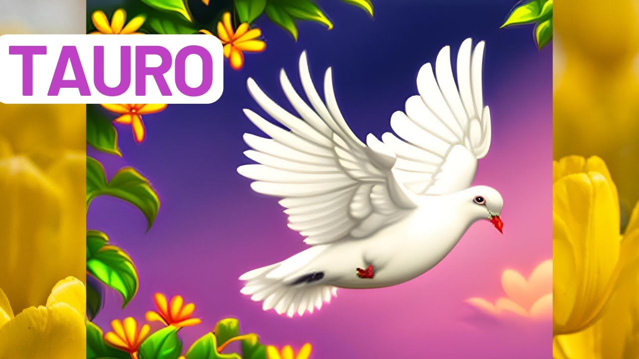 🌞11:11🌞 POR FIN TAURO 💫 GOLPE DE SUERTE 🍀💋👑📞🧿 ️🕰️ HOROSCOPO 🔔 TAROT ...