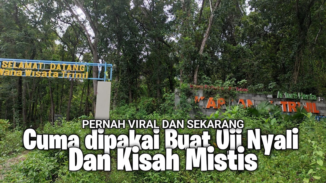 MENGINTIP KONDISI TERBARU WISATA AKAR LANGIT TRINIL SENDANGHARJO BRONDONG LAMONGAN