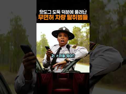 핫도그 도둑 덕분에 풀려난 무면허 차량 탈취범들